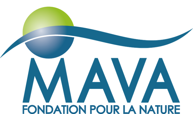 Mava Logo